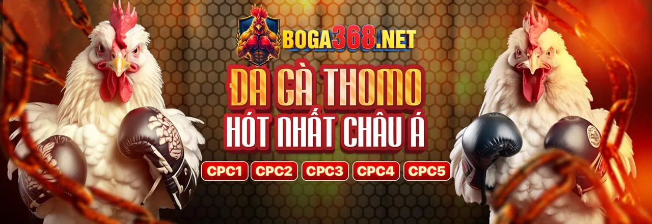 Đá Gà Trực Tuyến Hấp Dẫn tại daga88
